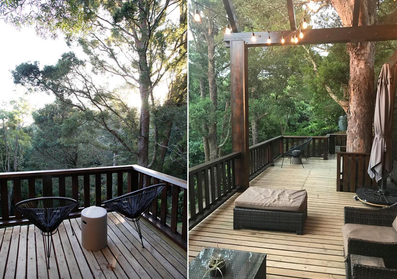 Forestchild Self Catering, The Cragsヴィラ エクステリア 写真